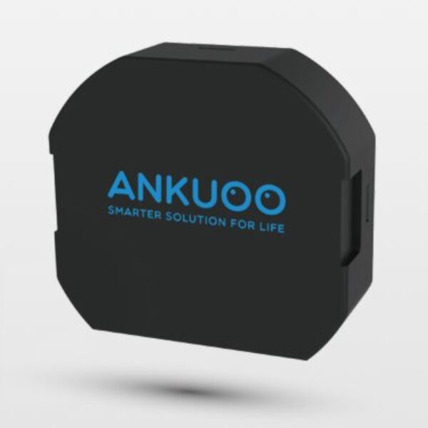 Ankuoo Wi-Fi Control Module